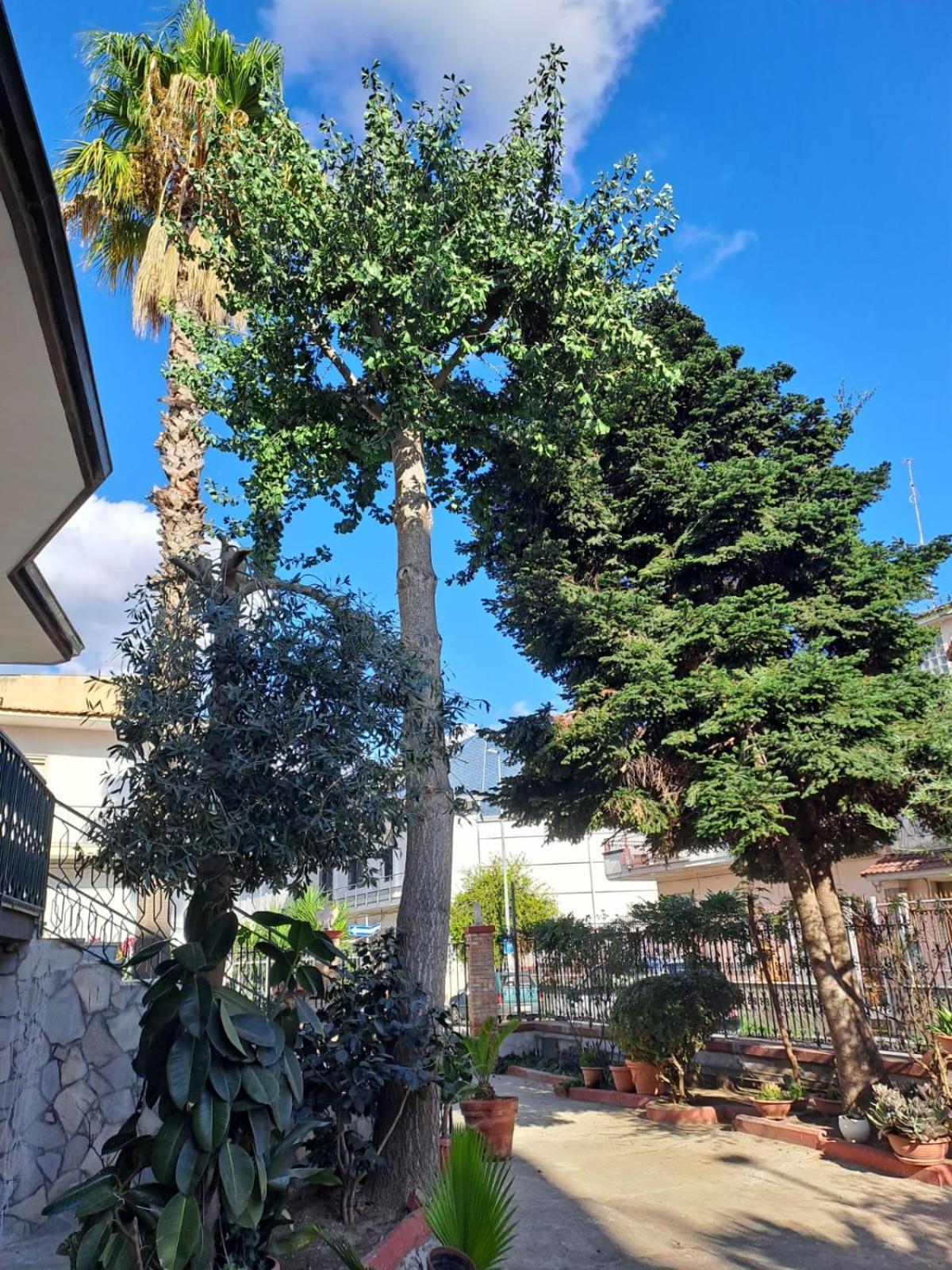 A Casa Di Luigi 2 Apartment Mugnano di Napoli Luaran gambar